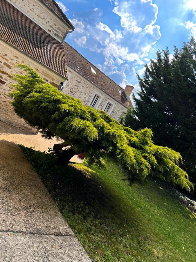 Ferienwohnung Le Domaine De Jade Chatillon-la-Borde Exterior foto